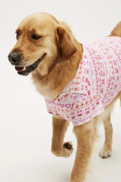 Novelty Dog Shirt