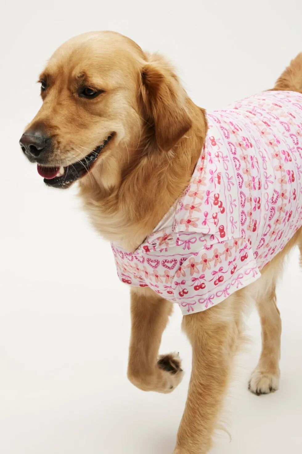 Novelty Dog Shirt