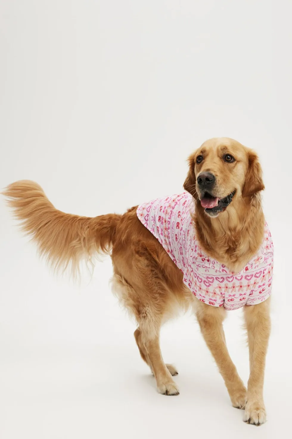 Novelty Dog Shirt